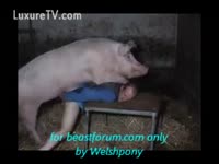 [ Pet XXX Film ] Man bows over for hog fucking